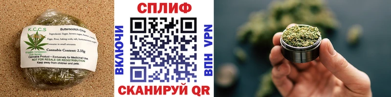 omg онион  магазин продажи   Суровикино  Печенье с ТГК конопля 