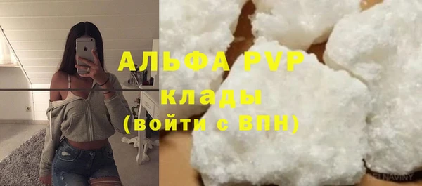 PSILOCYBIN Лихославль